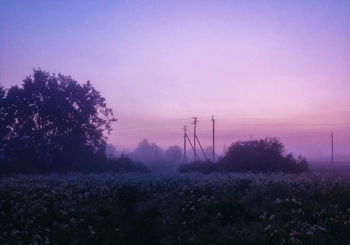 菠萝TV最省力的读法：围绕评价词和事实词怎么分做把“据说”替换为来源（不需要背理论）